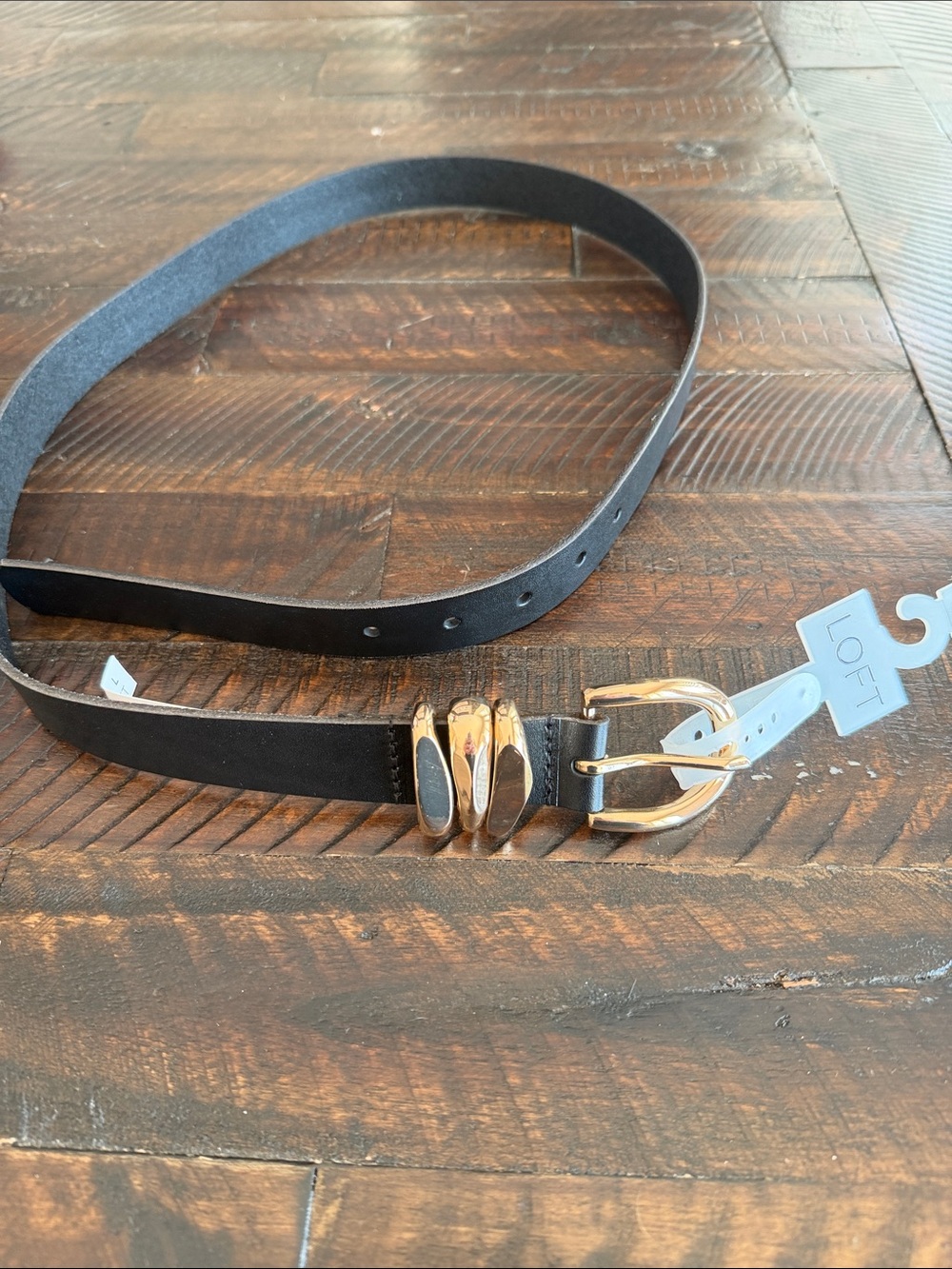 LOFT Black Suede Belt with Gold-Tone Buckle and Accent Rings